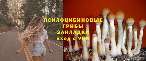 мескалин Каменногорск