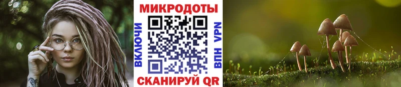 Купить где  Бабушкин  Галлюциногенные грибы Cubensis 