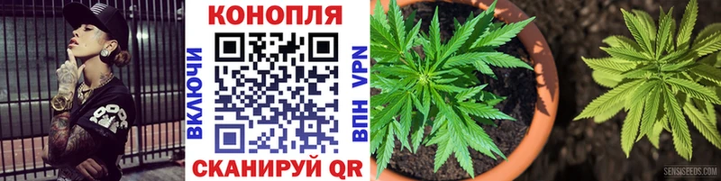 Купить закладки  Бабушкин  Бошки Шишки индика 